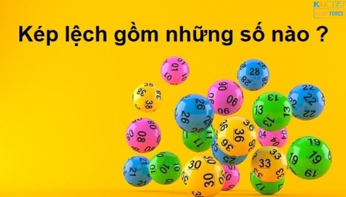 kép lệch gồm những con nào